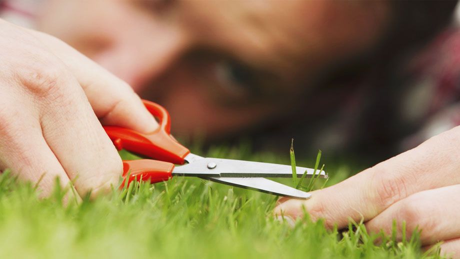 How to Overcome Perfectionism